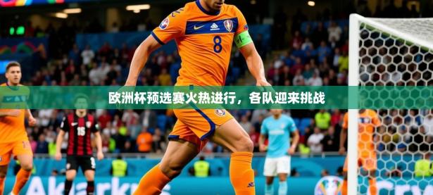 2025开云体育注册下载欧洲杯预选赛火热进行，各队迎来挑战