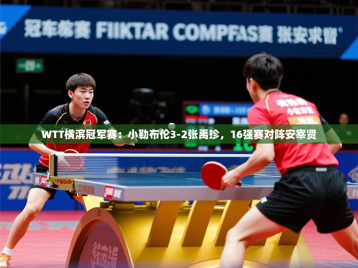 2025开云体育入口WTT横滨冠军赛：小勒布伦3-2张禹珍，16强赛对阵安宰贤  第4张