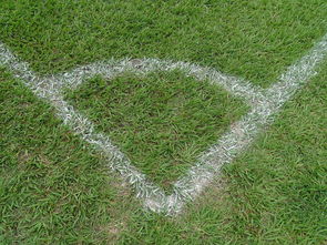 2025云开体育官方网站登录门兴俱乐部欧洲杯赛事：法兰德尔斯草球场将成名宿对阵地点  第1张